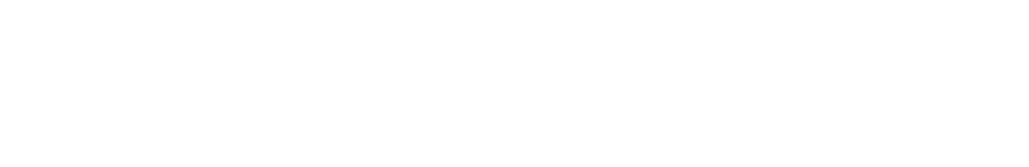 Logo_Kettler_weiss